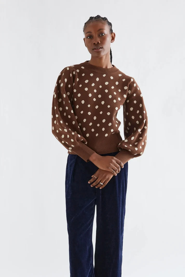 JERSEY CON ESTAMPADO PUNTO MARRON CATAHONDA (COMPAÑIA FANTASTICA)