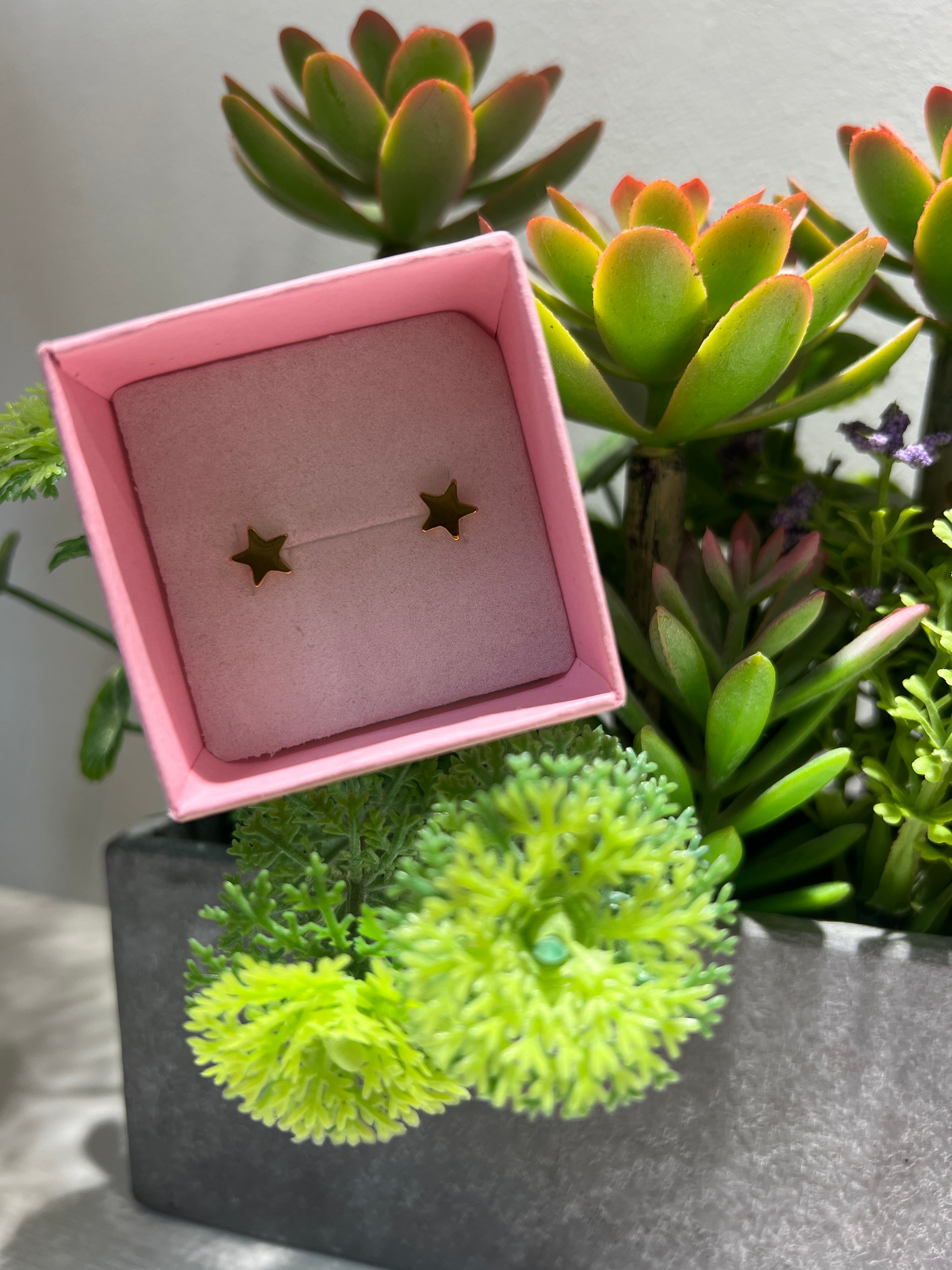 Pendiente Mini Estrella Silueta